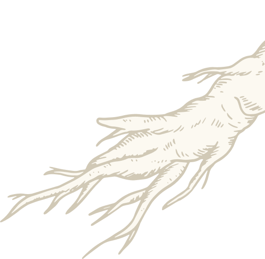 유현삼계탕 배경 일러스트